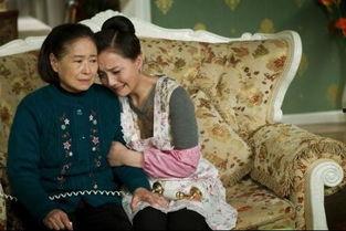 喜临门电视剧免费观看,免费解锁情感盛宴，共度温馨时光